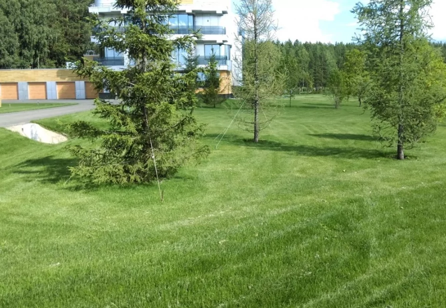 Устройство рулонного газона на территории коттеджного поселка (Свердловская область, 2015)