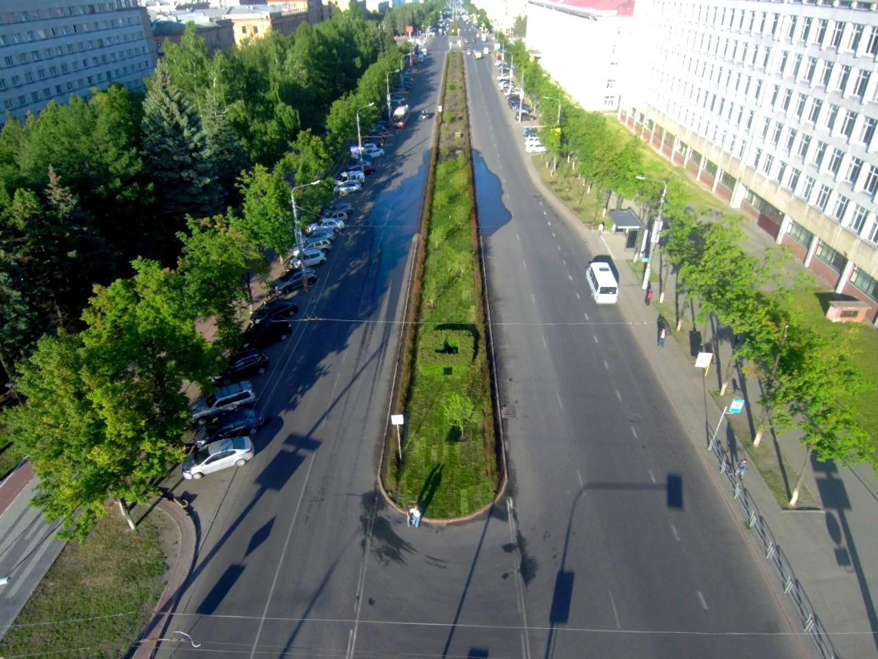 Озеленение разделительной полосы на проспекте Ленина (Челябинск, 2020)