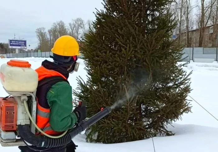 Обработка деревьев у ТРЦ Планета в Перми